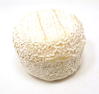 cheese0506_01.jpg