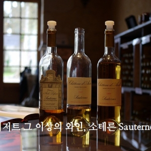    디저트 그 이상의 와인, 소테른 Sauternes - wineok.com – 와인 토크 - WINEOK.COM | 와인오케이닷컴