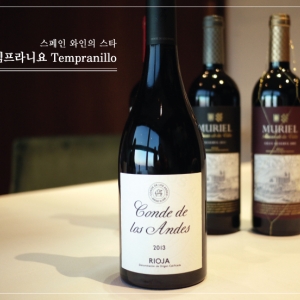    스페인 와인의 스타, 템프라니요Tempranillo - wineok.com – 와인 토크 - WINEOK.COM | 와인오케이닷컴