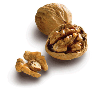 walnut.jpg