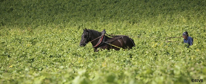 PaysagesdeBourgogne22.jpg