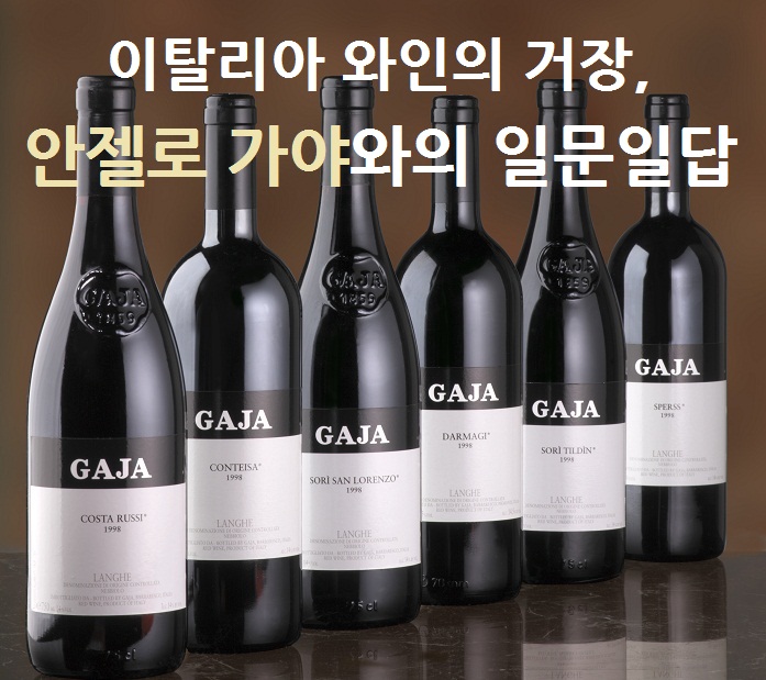 GAJA_가야.jpg