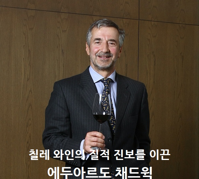 Errazuriz_채드윅.jpg