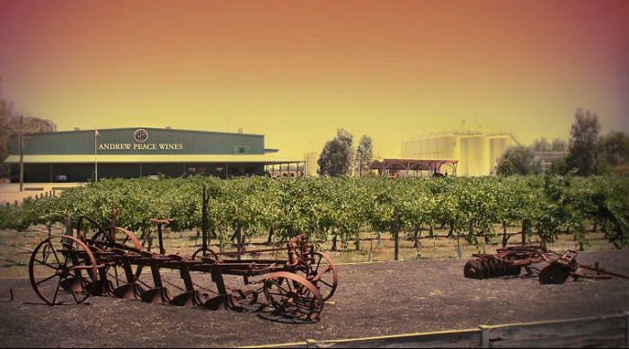 winery from cellar door instagram.jpg