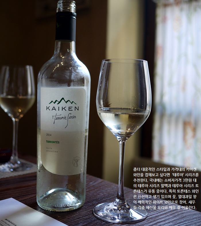 kaiken terroir_torrontes.jpg