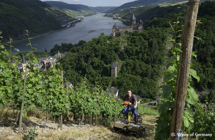 ⓒ Wines of Germany.jpg