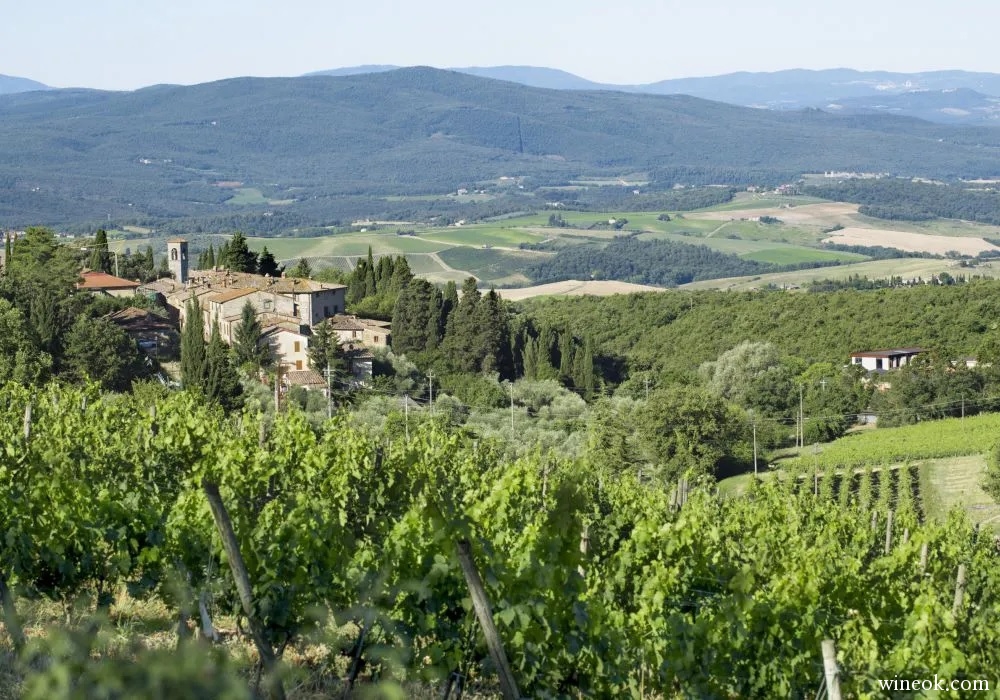 Castello di Fonterutoli.jpg