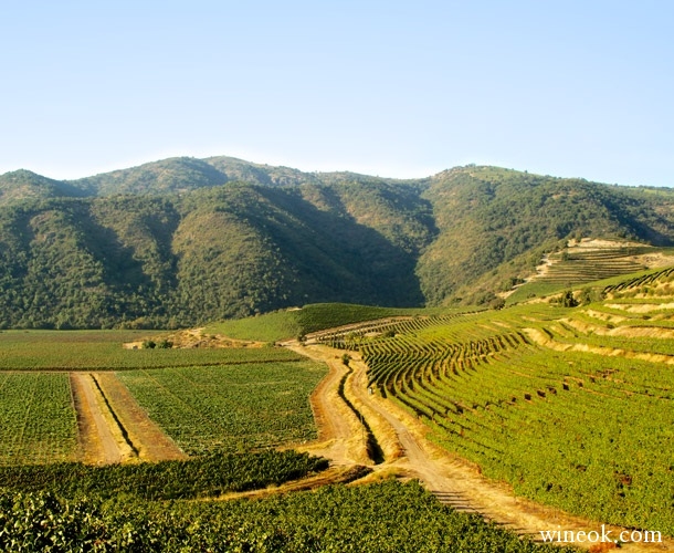 COLCHAGUA.jpg