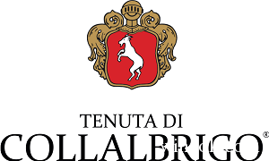 LOGO TENUTA DI COLLALBRIGO 2020.png