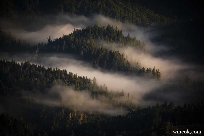 Sonoma Coast.jpg