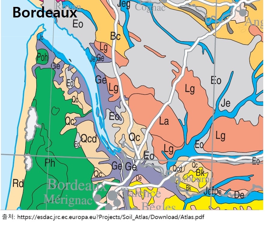 Bordeaux Soil.jpg