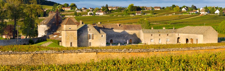 Clos du Moulin.jpg